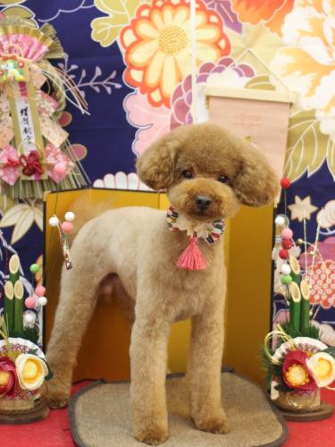 20240121まめくん